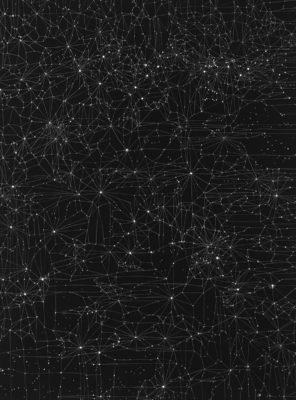 Night Weave IV 2018 acrylic and white pencil on digitally printed black paper