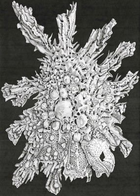 ARIANNA FIORATTI LORETO Foraminifera 2020 pen and black ink on paper; 30 1/2 x 19 1/2 inches (70 x 50 cm)