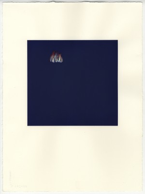 JEN MAZZA Flame (Indigo), 2010 Gouache and Tempera on Arches; 15 x 11.25 inches