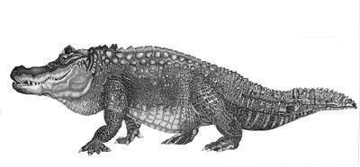 Alligator pen and black ink on paper; 29 1/2 x 70 inches (75 x 176 cm)