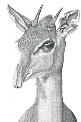 Dik Dik 2016 pen and black ink on paper; 18 3/4 x 13 inches (48 x 33 cm)